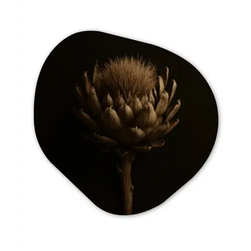 Donkerbruin - Bloem - Textuur - Artisjok Wandcirkel Organisch Aluminium middel -3d