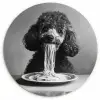 Poedel - Hond - Zwart - Wit - Schattig - Pasta KitchenYeah - Keuken - Wandcirkel Forex klein -3d