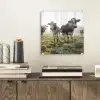 Koeien - Licht - Gras - Dieren plexiglas 5mm klein -sfeer1