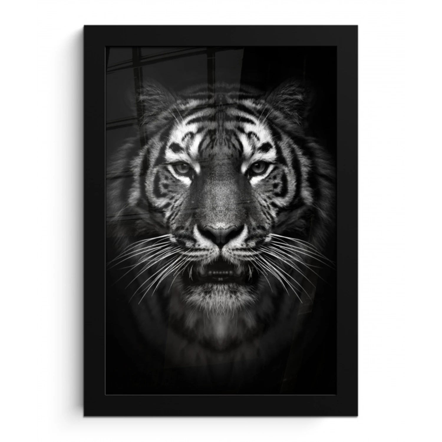 Tijger - Dieren - Zwart - Wit - Portret - Wild fotolijst zwart zonder passe partout klein -3d