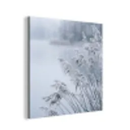 Riet - Bevroren - Winter - Natuur aluminium wit klein -3d