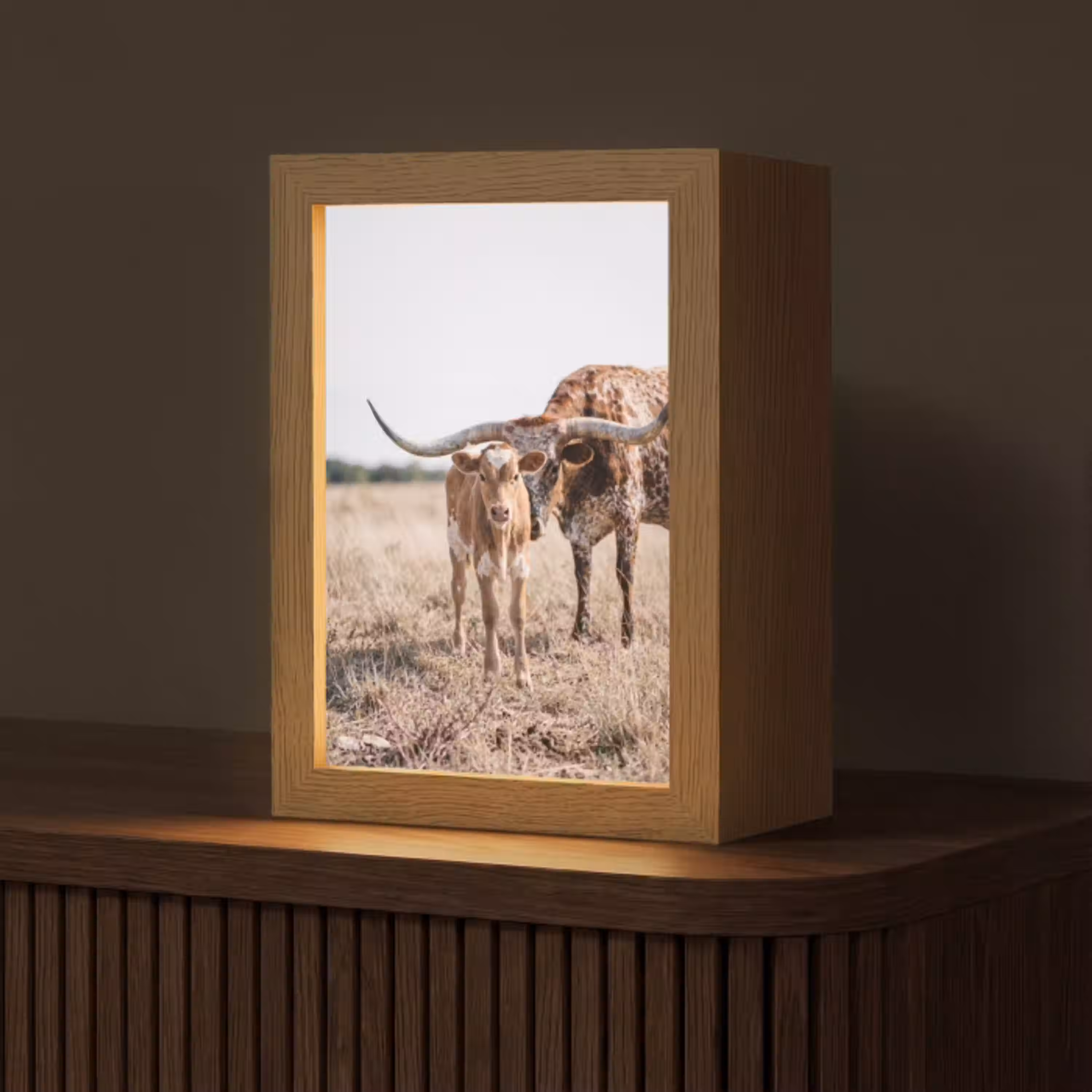 Texas Longhorn - Kalf - Weide - Dieren Light Box met kabel (Tafellamp) klein -z3d_website