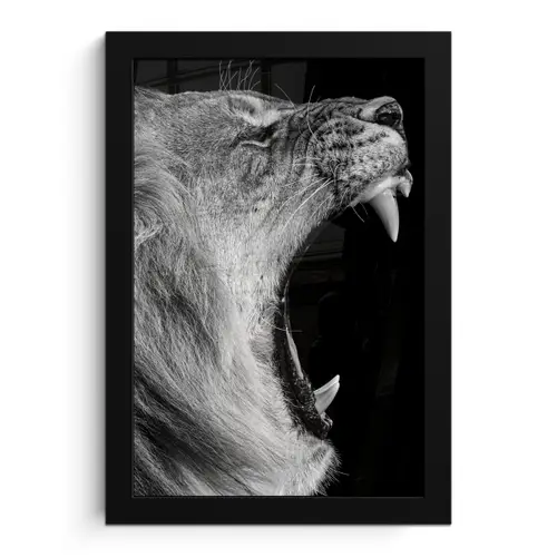 Dieren - Leeuw - Zwart - Wit - Portret fotolijst zwart zonder passe partout klein -3d