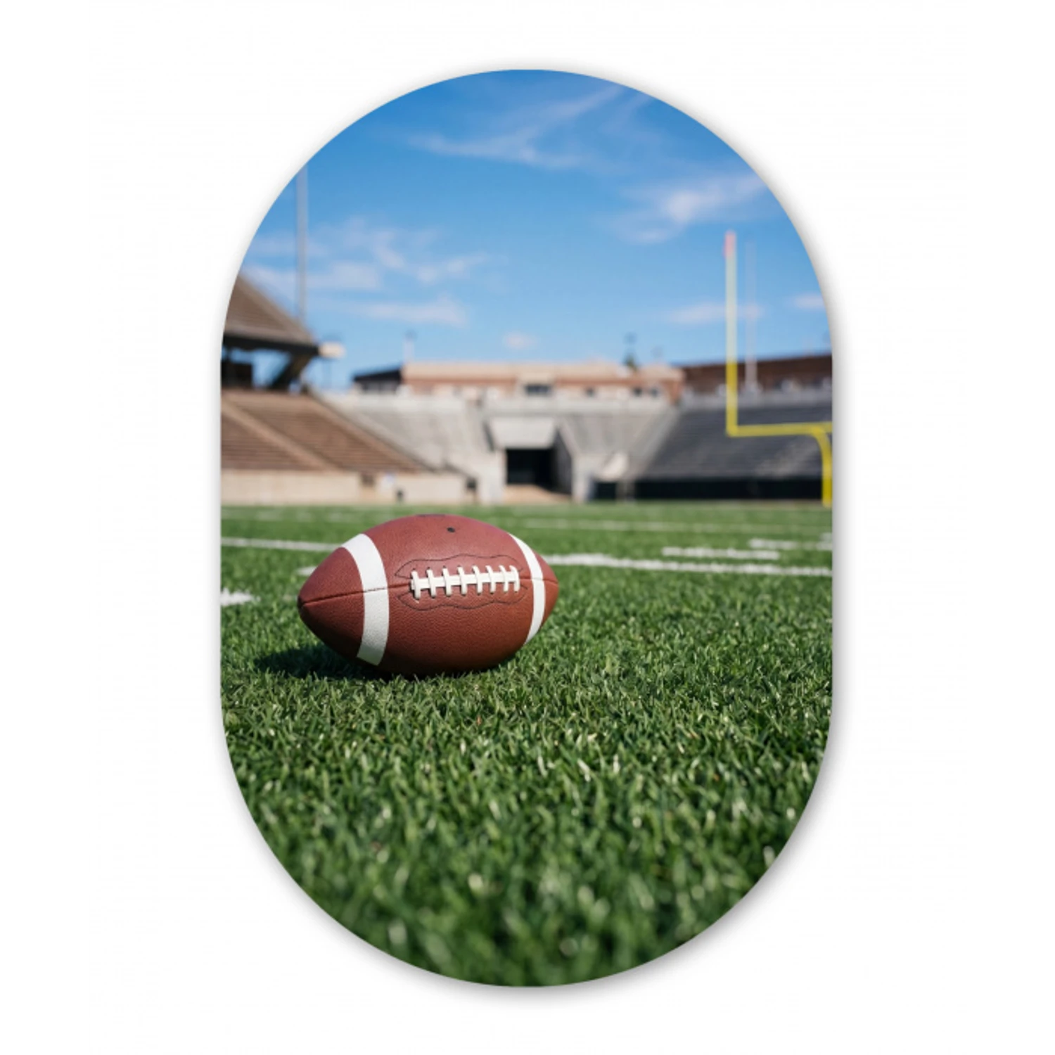Football - Veld - Stadion - Sport Wandcirkel Ovaal Forex klein -3d