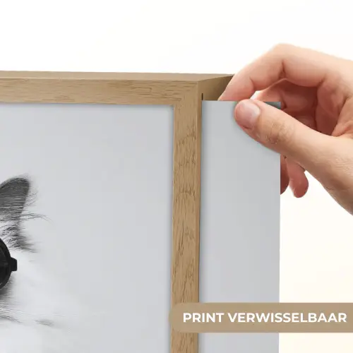 Kat - Zonnebril - Wijnglas - Langharig Light Box met batterij (Wandlamp) middel -USP_websiteprintNL