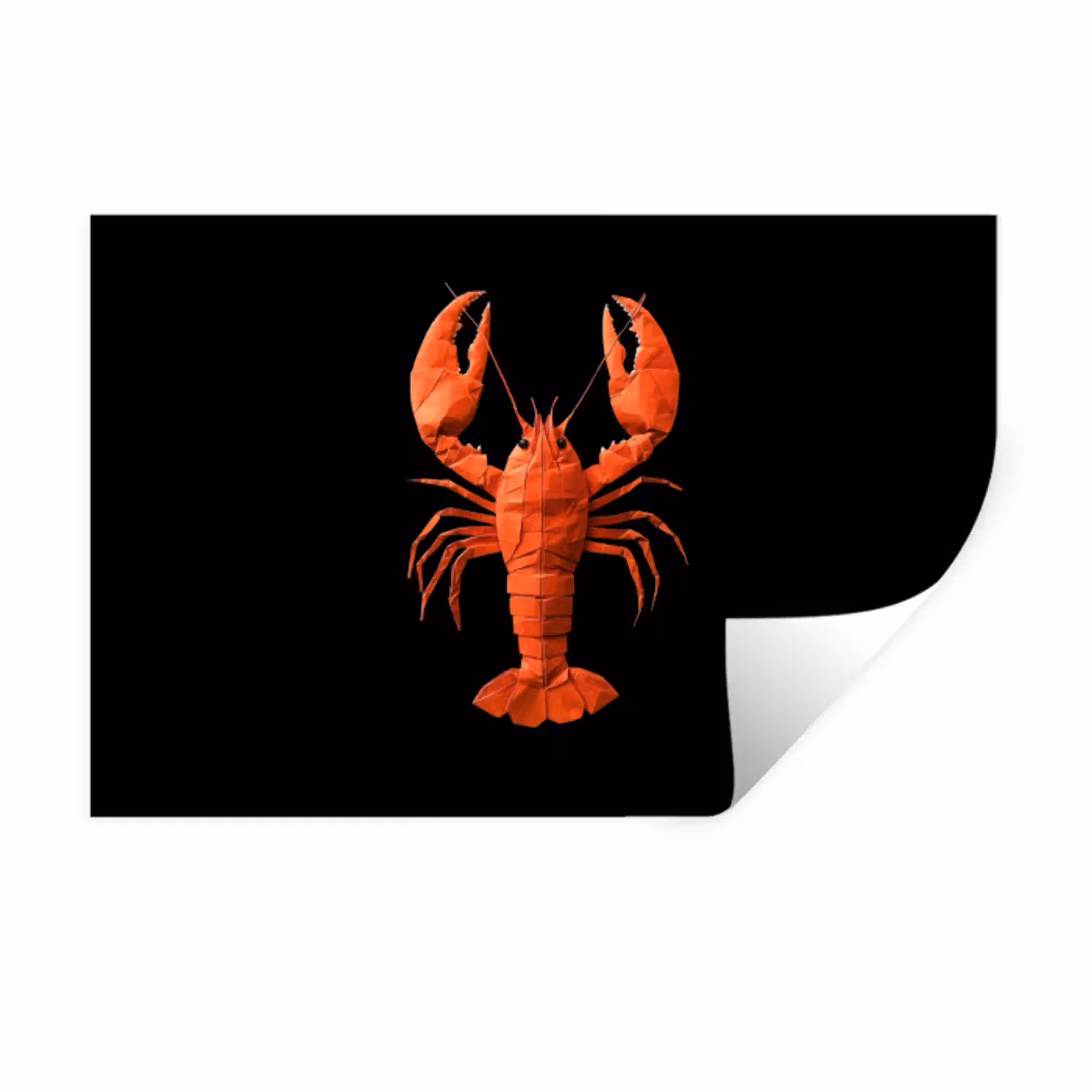 Kreeft - Papier - Origami papier - Rood Muursticker klein -3d
