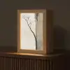 Wabi sabi - Plant - Beige Light Box met kabel (Tafellamp) klein -z3d_website