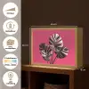 Bladeren - Rond - Roze Light Box met batterij (Wandlamp) middel -USP_websiteoverzichtNL