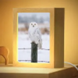 Sneeuwuil - Hek - Sneeuw - Wit Light Box met kabel (Kinderlampje) klein -zzzz_3d_website