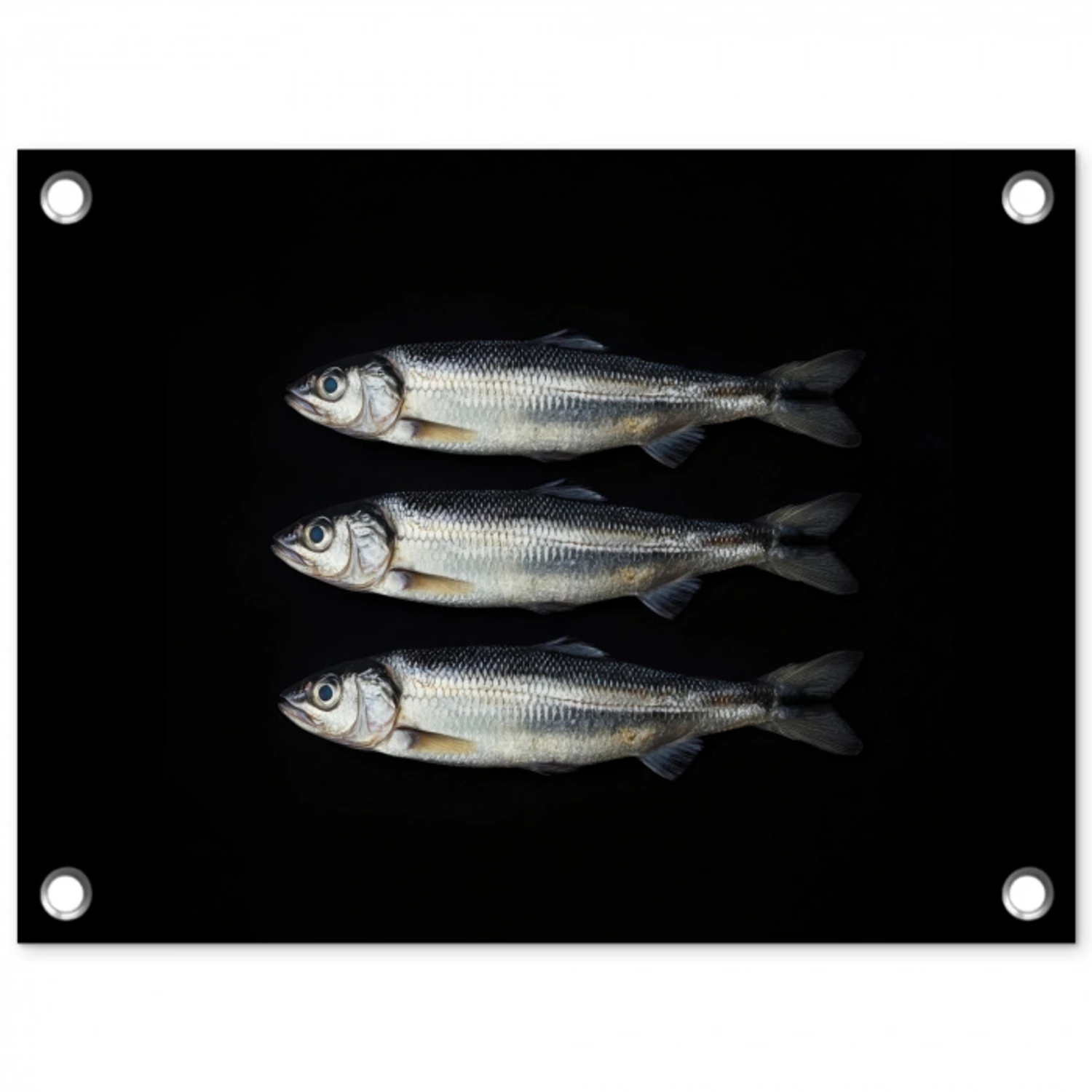 Haring - Vissen - Zwart tuinposter los doek klein -3d