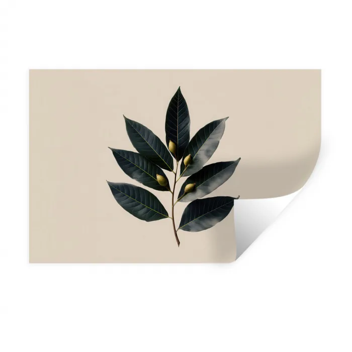 Laurierbladeren - Bloemknoppen - subtiel Muursticker klein -3d