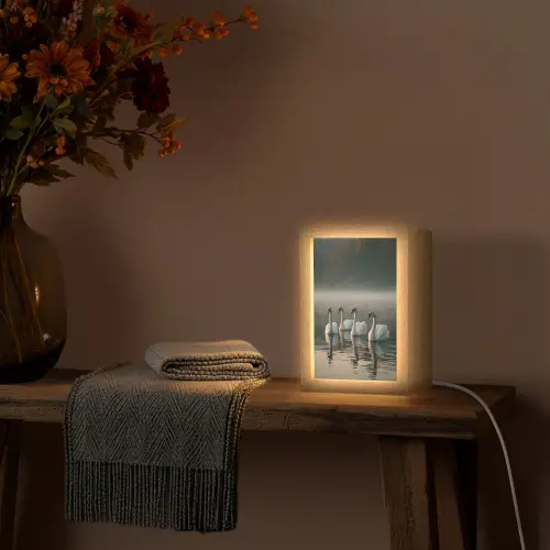 Zwanen - Wit - Water - Mist Light Box met kabel (Tafellamp) klein -sfeer4