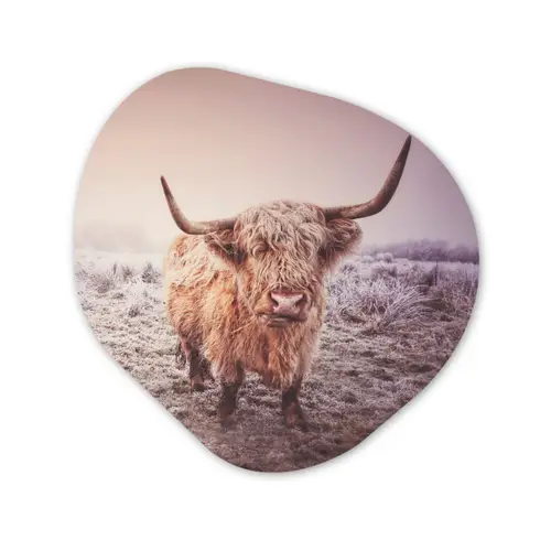 Schotse hooglanders - Licht - Lucht - Natuur Wandcirkel Organisch Forex 3mm klein -3d
