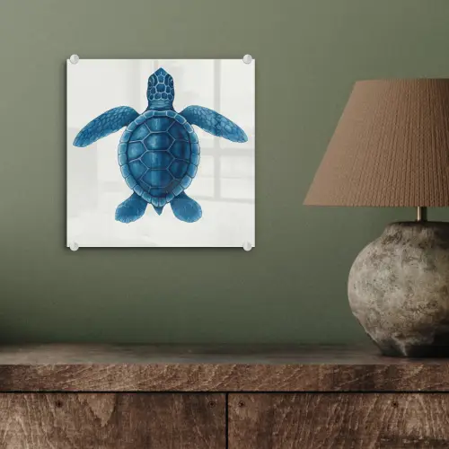 Schildpad - Blauw - Schild plexiglas 5mm klein -sfeer3