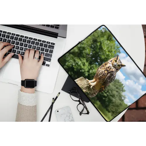 Uil - Boomstronk - Bos - Lucht laptophoes neopreen klein -bureau