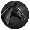 Paard - Dieren - Zwart - Wit - Portret Wandcirkel kunststof plaat 5mm dik klein -3d