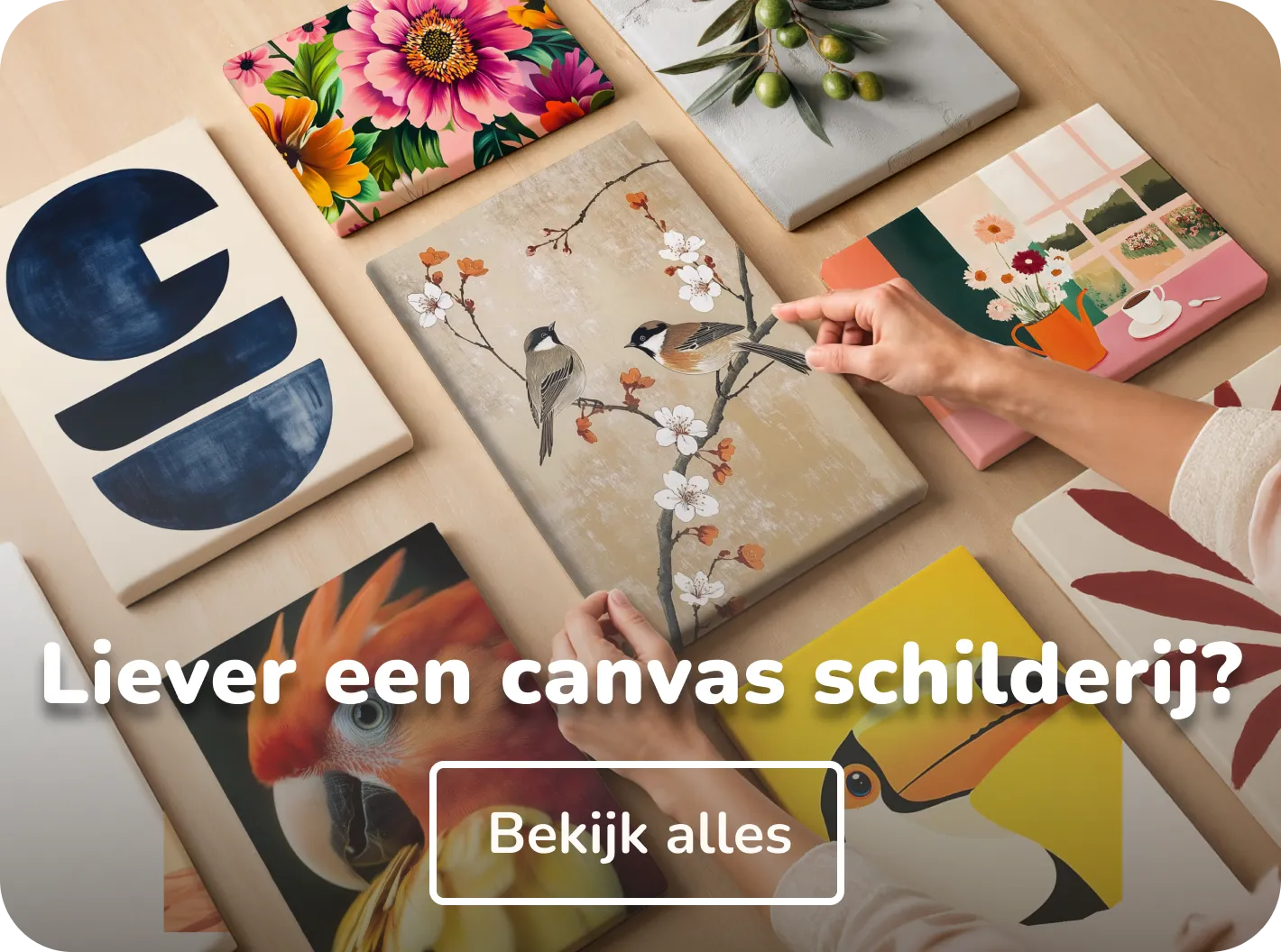 Canvas schilderijen collecties