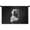 Buldog - Hond - Glas Wandkleed katoen klein -zz3d