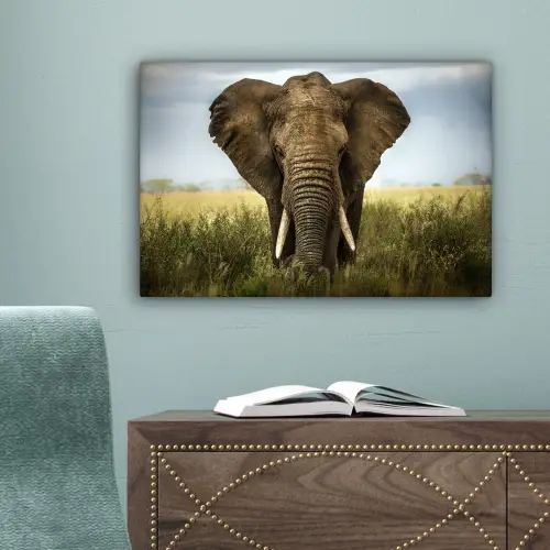 Olifant - Natuur - Gras - Dieren - Landschap canvas 2cm klein -sfeer4