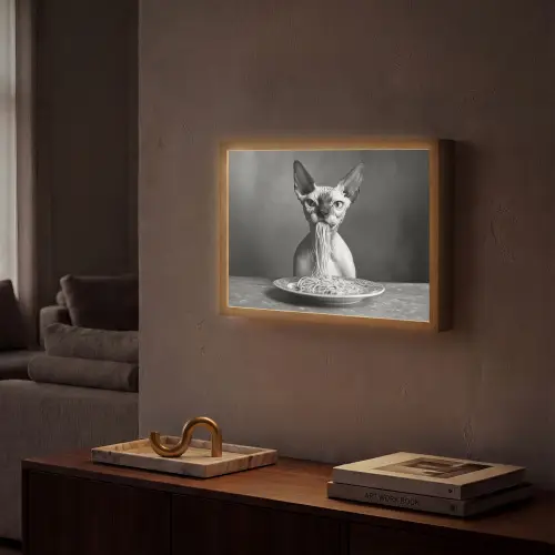 Sphynx - Kat - Dieren - Humor - Spaghetti - Zwart Wit Light Box met batterij (Wandlamp) middel -sfeer1