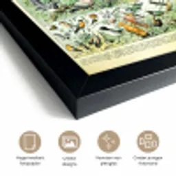 Dieren - Vintage - Adolphe Millot - Vogels - Design fotolijst zwart zonder passe partout klein -sfeer2