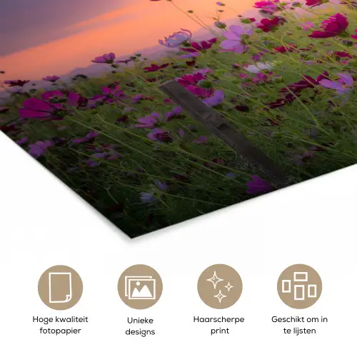 Bloemen - Roze - Zonsondergang - Natuur - Weide - Horizon poster papier klein -closeup_NL