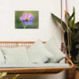 Bloem - Close up - Paars tuinposter los doek klein -sfeer7