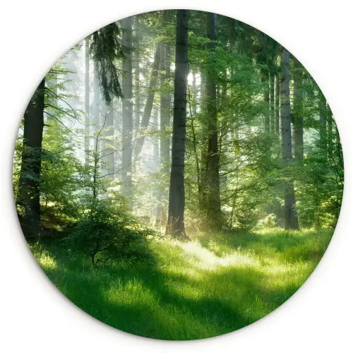 Natuur - Bomen - Bos - Groen - Zon - Gras - Planten Wandcirkel kunststof plaat 5mm dik klein -3d