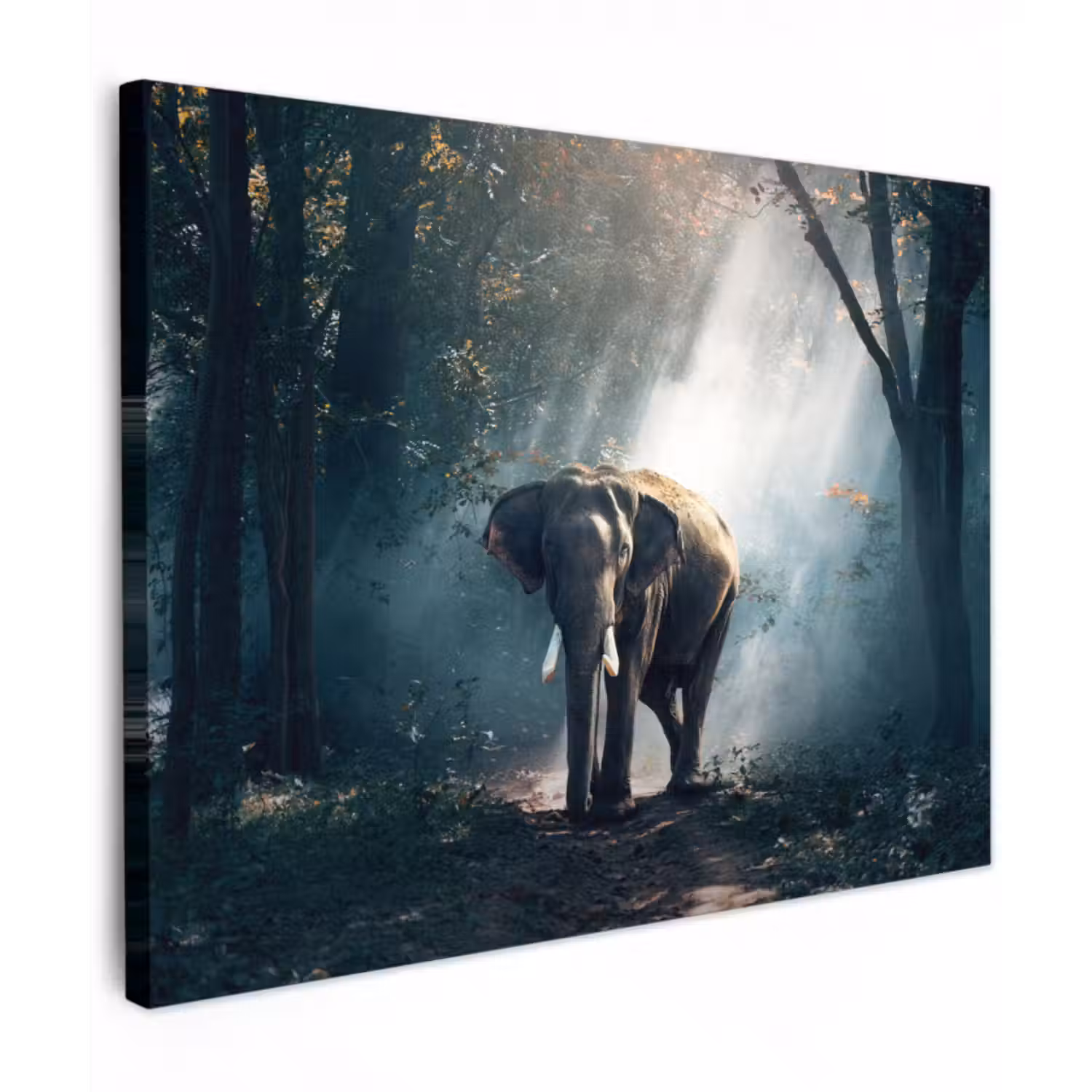 Leinwandbild - Elefant - Tiere - Licht - Wald - Natur - Wildtiere