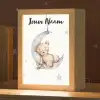 Beer - Maan - Sterren - Kinderen Light Box met kabel (Kinderlampje) klein -zzz_3d_website