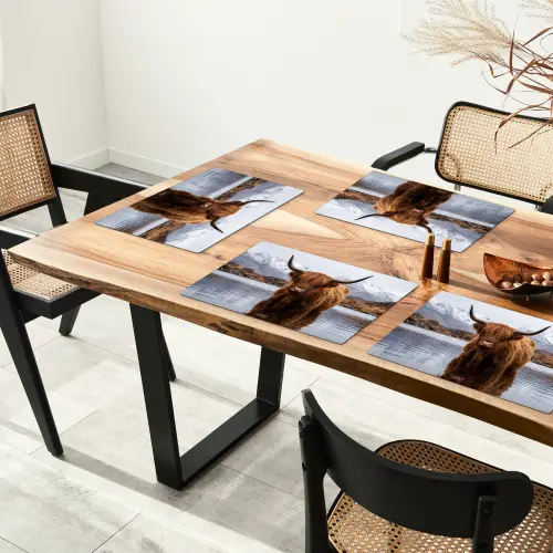 Schotse hooglander - Bruin - Water Placemat vinyl groot -zzsfeer4_Kitchenyeah-website