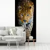 Luipaard - Dieren - Portret - Wilde dieren - Zwart fotobehang vinyl groot -woonkamer