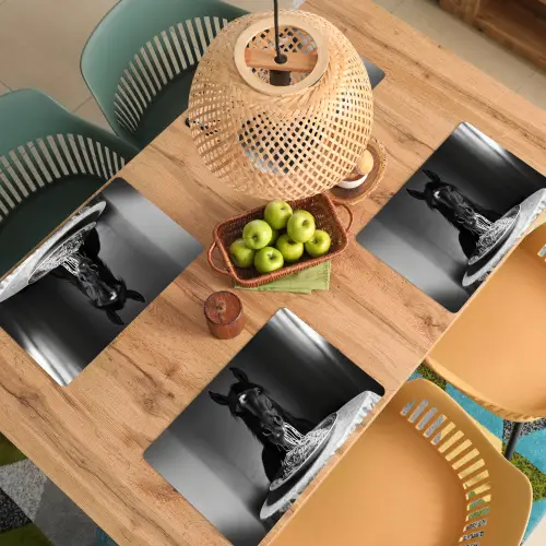 Paard - Bord - Pasta - Tafelkleed - Zwart Wit - Dieren Placemat vinyl groot -zzsfeer5_Kitchenyeah-website