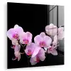 Orchidee - Bloemen - Roze - Flora plexiglas 5mm klein -zzzproduct_nieuw