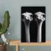 Struisvogels - Halzen - Zwart - Minimalistisch canvas 2cm klein -sfeer4