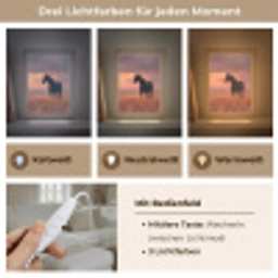 Paard - Wolken - Open veld Light Box met kabel (Tafellamp) klein -USP_lichtkleurDE