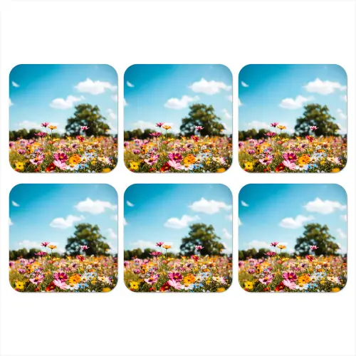 Bloemenweide - Blauw - Lucht - Kleuren onderzetter kurk middel -3d