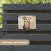 Giraffen - Cartoon - Crème tuinposter los doek klein -sfeer3
