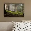 Zon - Takken - Bomen - Bos - Natuur canvas 2cm klein -sfeer3
