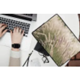 Gras - Close up - Groen laptophoes neopreen klein -bureau