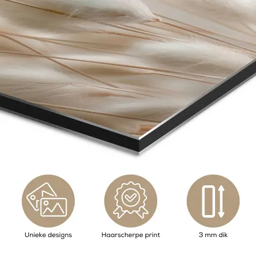 Pluimen - Beige - Minimalistisch aluminium wit klein -closeup_NL