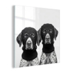 Honden - Bivakmuts - Zwart - wit plexiglas 5mm klein -z3d