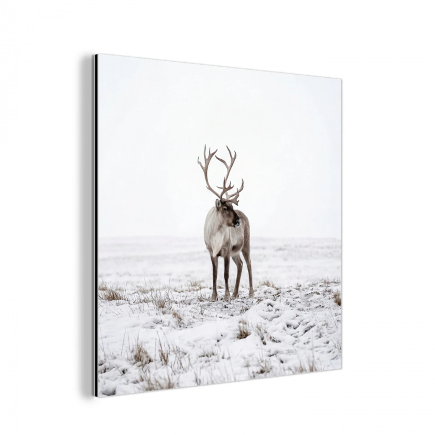 Rendier - Gewei - Sneeuw - Winter aluminium wit klein -3d