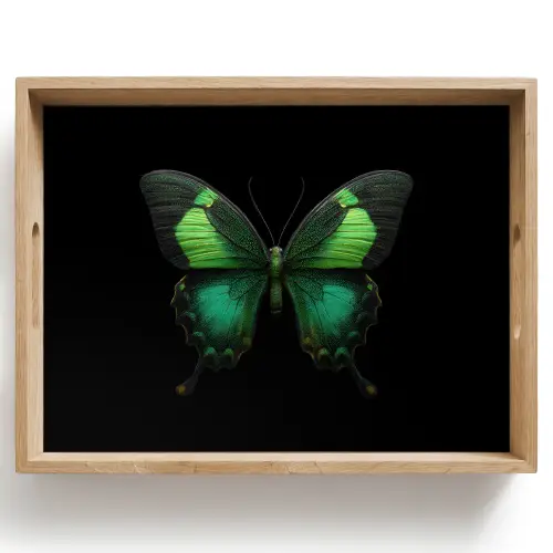Vlinder - Groen - Opvallend Dienblad Rechthoek middel -z3d_shopping