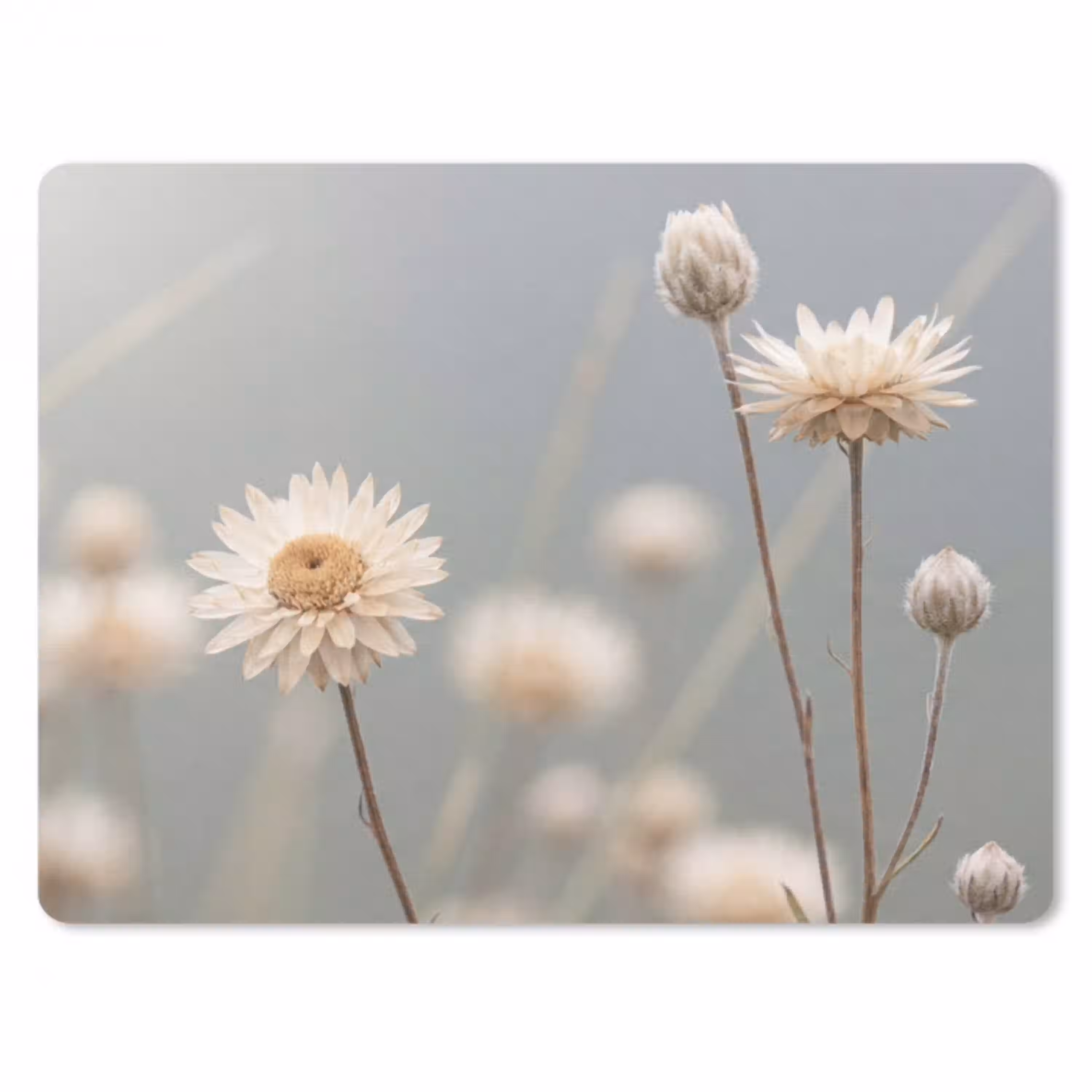 Strobloemen - Wit - Daglicht muismat rubber klein -3d