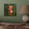 Bloem - Gladiolen - Zalmroze aluminium wit klein -sfeer2