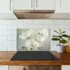 Bloemen - Stilleven - Klaproos - Wit - Botanisch keuken achterwand spatscherm klein -sfeer2