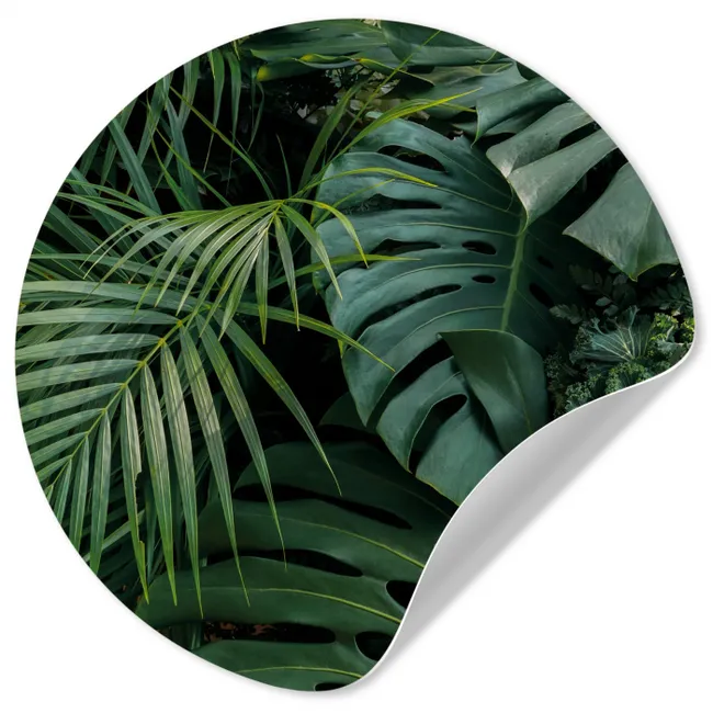 Planten - Jungle - Bladeren - Tropisch Wandcirkel behangsticker klein -3d