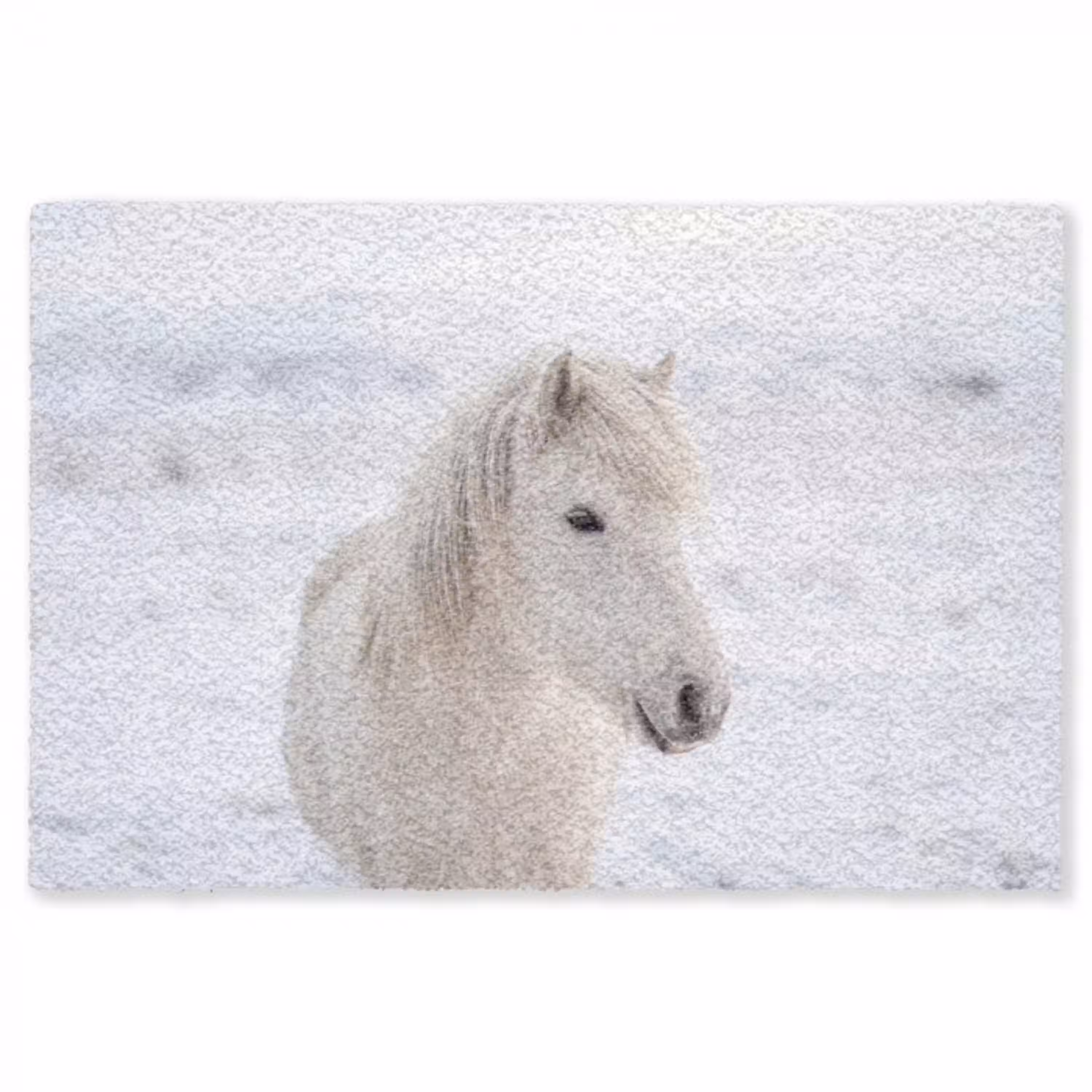 Paard - Kop - Winter - Dieren - Wit Vloerkleed Rechthoek klein -3d