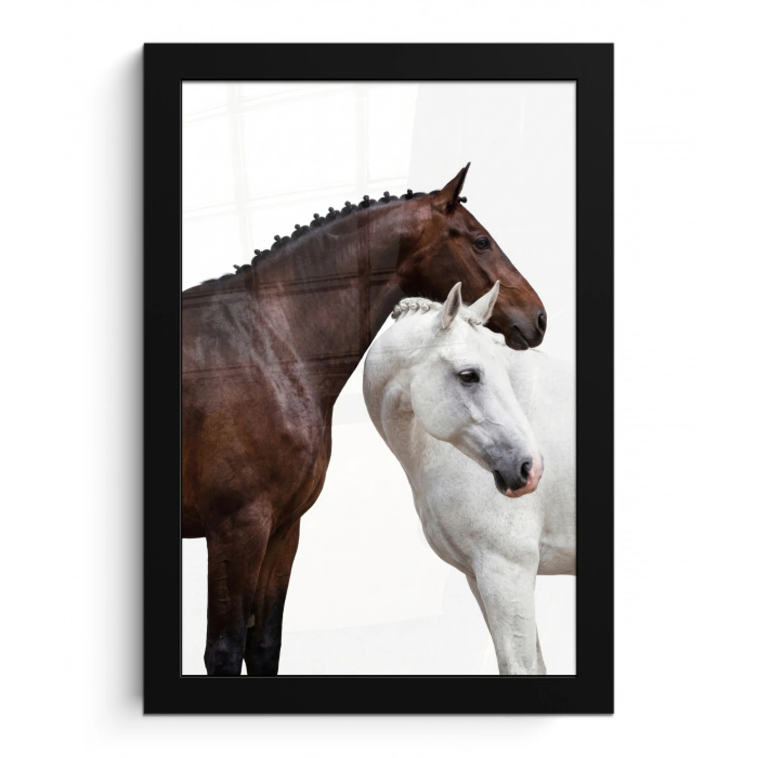 Paard - Modern - Balans fotolijst zwart zonder passe partout klein -3d